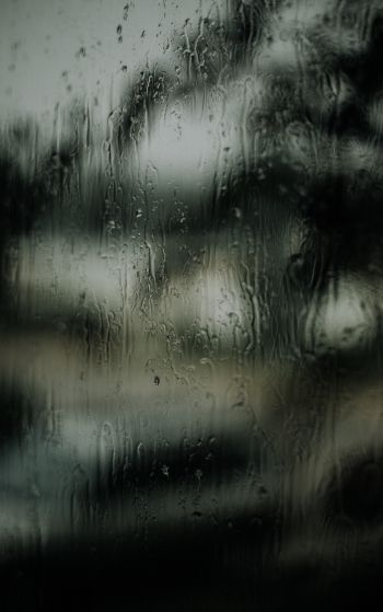 glass, rain drops Wallpaper 1752x2800