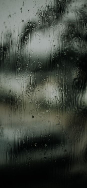 glass, rain drops Wallpaper 1284x2778