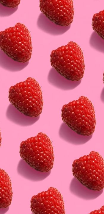 raspberries, berries Wallpaper 1080x2220
