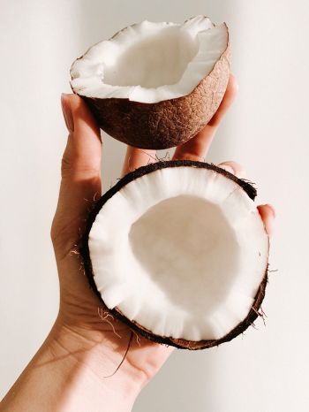 coconut, hand Wallpaper 2048x2732