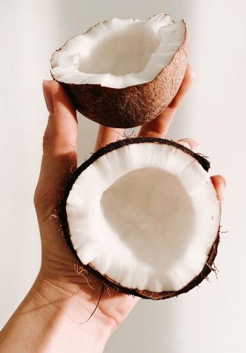 coconut, hand Wallpaper 1668x2388