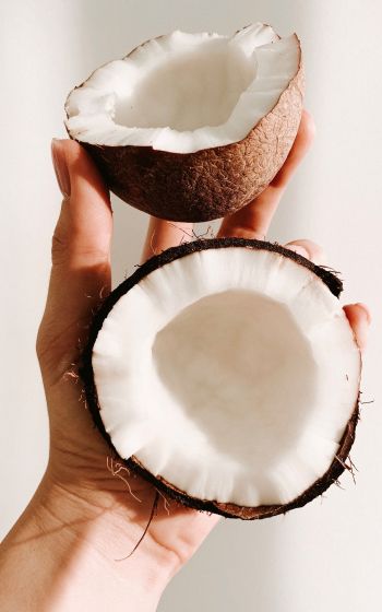 coconut, hand Wallpaper 1200x1920