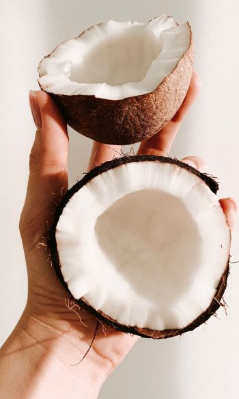 coconut, hand Wallpaper 1200x2000