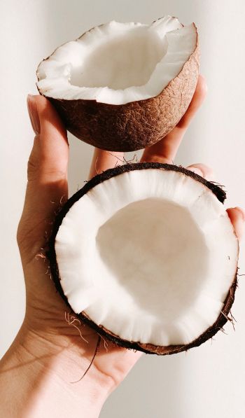 coconut, hand Wallpaper 600x1024