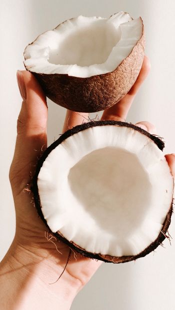 coconut, hand Wallpaper 640x1136