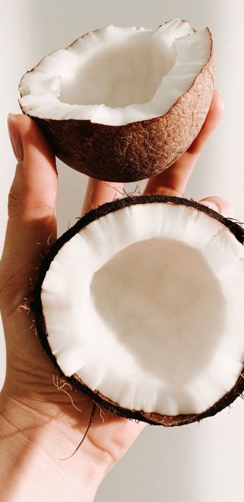 coconut, hand Wallpaper 1440x2960