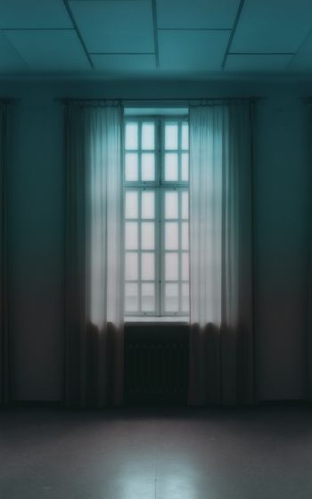 windows, tulle, room Wallpaper 800x1280