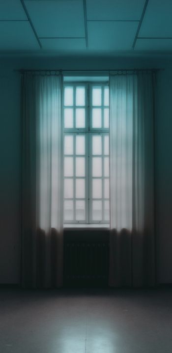 windows, tulle, room Wallpaper 1080x2220