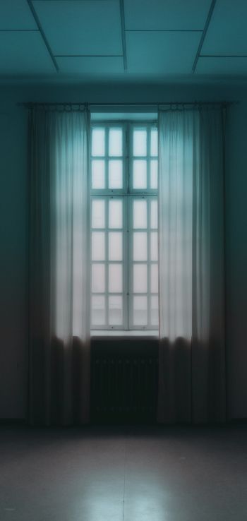 windows, tulle, room Wallpaper 1080x2280