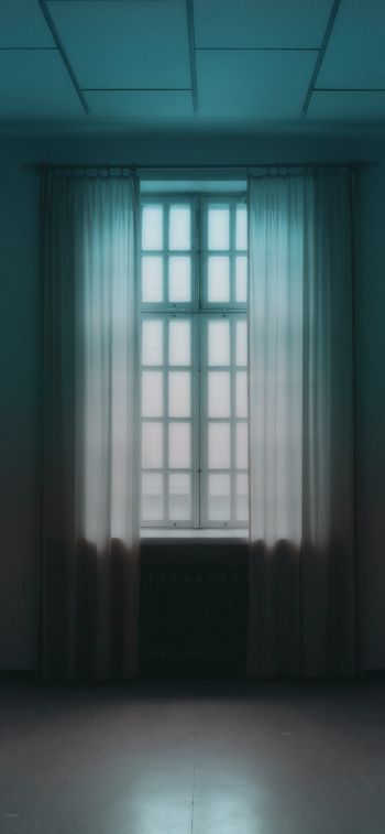 windows, tulle, room Wallpaper 1125x2436