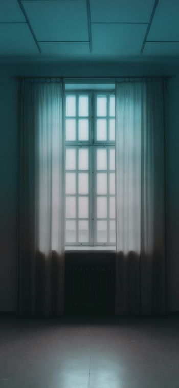 windows, tulle, room Wallpaper 1080x2340