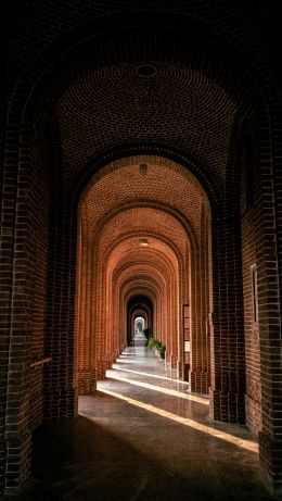 Dehradun, Uttarakhand, India Wallpaper 640x1136