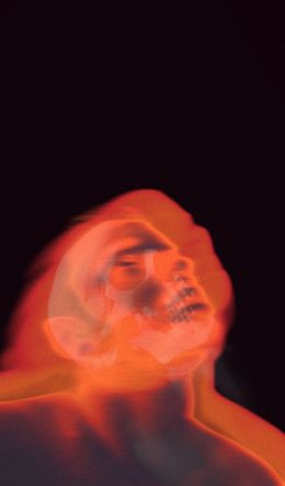 man, skull Wallpaper 600x1024