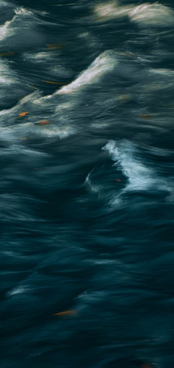 art, waves, sea Wallpaper 1440x3040
