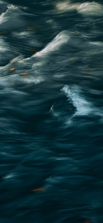 art, waves, sea Wallpaper 828x1792