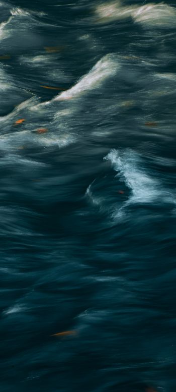 art, waves, sea Wallpaper 1440x3200