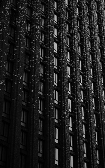 building, windows Wallpaper 1752x2800