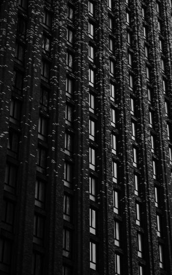 building, windows Wallpaper 1200x1920