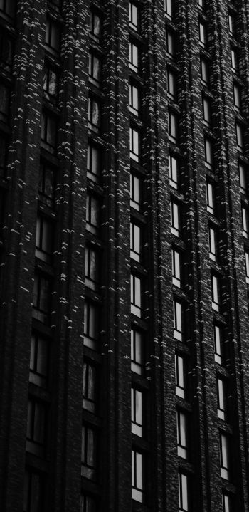 building, windows Wallpaper 1440x2960