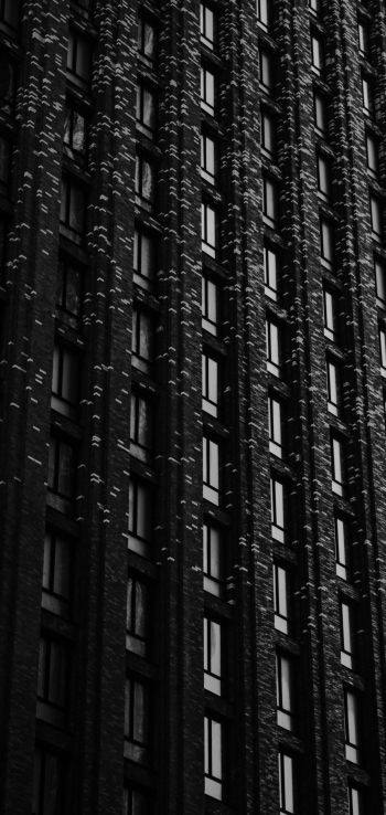 building, windows Wallpaper 1440x3040