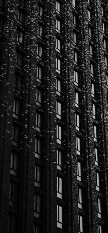 building, windows Wallpaper 1242x2688