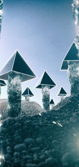 pyramids, mushrooms Wallpaper 720x1520