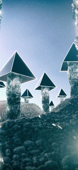 pyramids, mushrooms Wallpaper 1242x2688