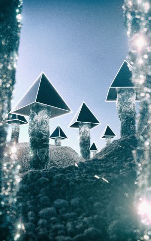 pyramids, mushrooms Wallpaper 1752x2800