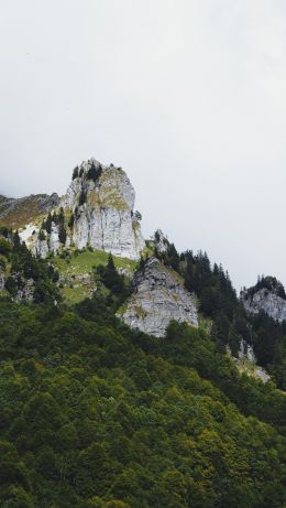 Обои 640x1136 Франция, горы, лес