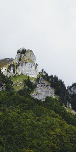 France, mountains, forest Wallpaper 720x1440