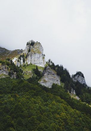 France, mountains, forest Wallpaper 1640x2360