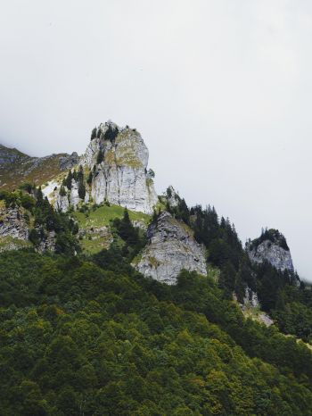 France, mountains, forest Wallpaper 2048x2732