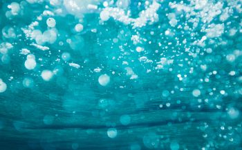 underwater, bubbles Wallpaper 2560x1600