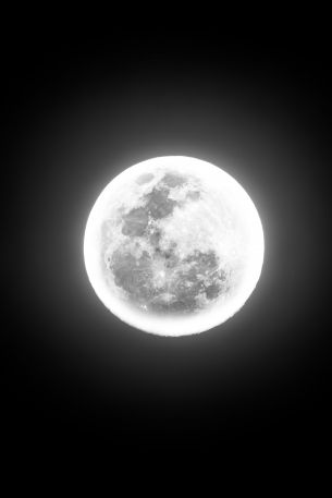 moon, night, world Wallpaper 640x960