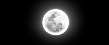moon, night, world Wallpaper 3440x1440