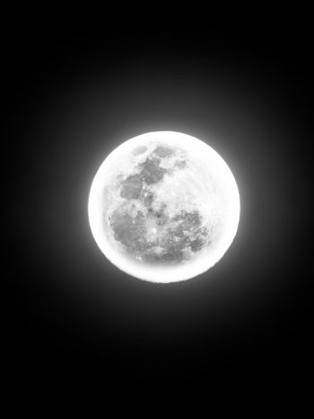 moon, night, world Wallpaper 1536x2048