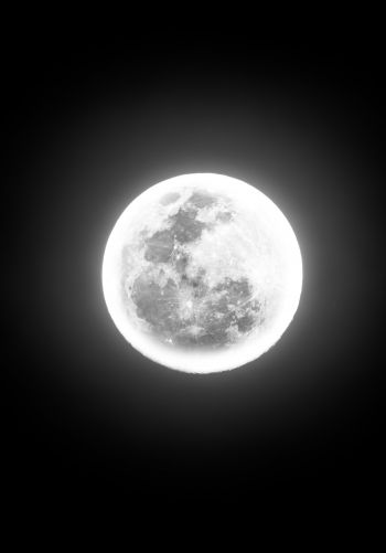 moon, night, world Wallpaper 1668x2388