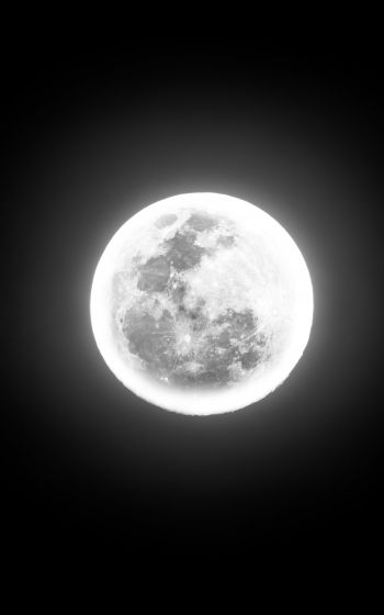 moon, night, world Wallpaper 1200x1920