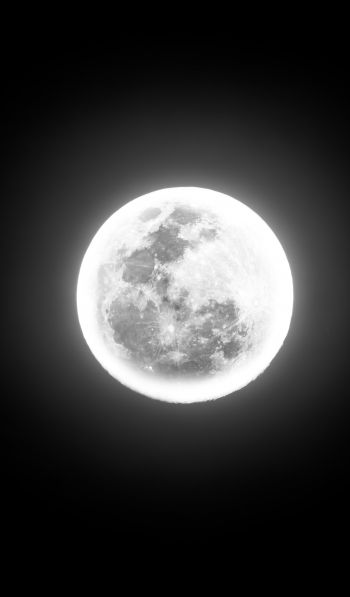 moon, night, world Wallpaper 600x1024