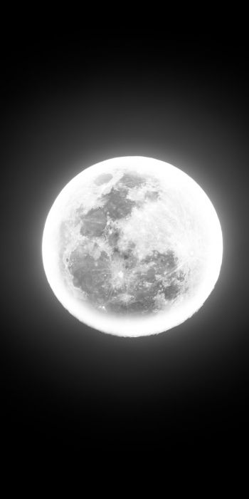 moon, night, world Wallpaper 720x1440