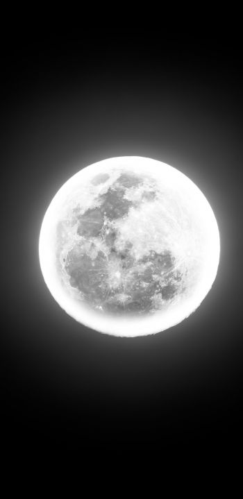moon, night, world Wallpaper 1080x2220