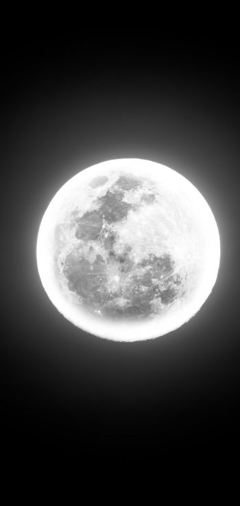 moon, night, world Wallpaper 1440x3040