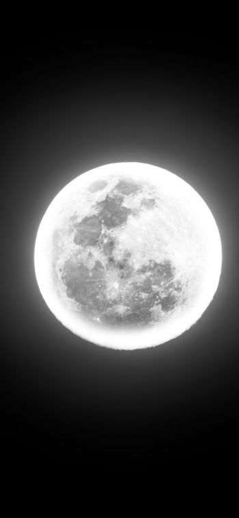 Обои 828x1792 луна, ночь, свет