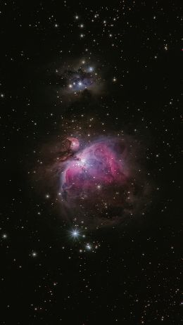 Обои 720x1280 астрономия, звезды, туманность