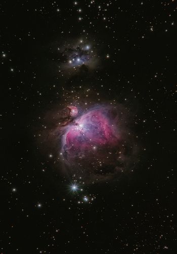 astronomy, stars, nebula Wallpaper 1668x2388
