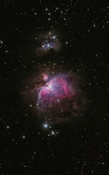 astronomy, stars, nebula Wallpaper 800x1280
