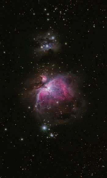 astronomy, stars, nebula Wallpaper 1200x2000