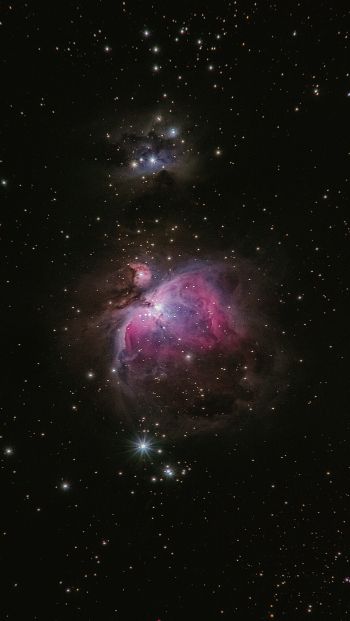 Обои 640x1136 астрономия, звезды, туманность