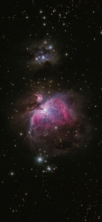 Обои 828x1792 астрономия, звезды, туманность