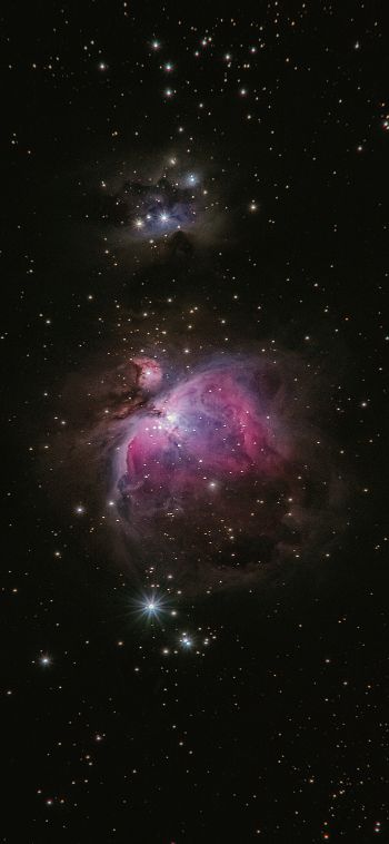 astronomy, stars, nebula Wallpaper 1080x2340